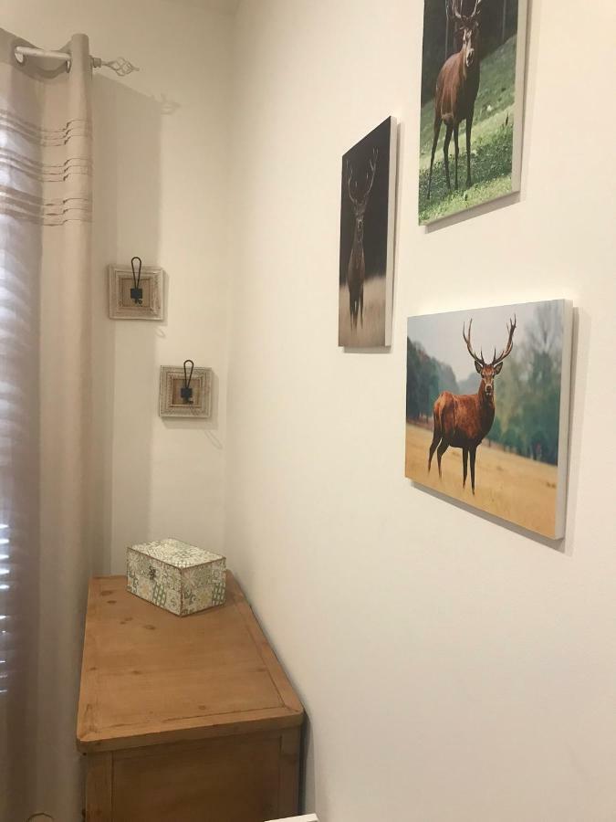 Apartament Neret II Сор Екстер'єр фото